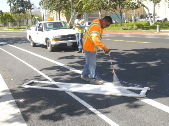 PasDPW workers put finishing touches on the Halstead bike lanes. 